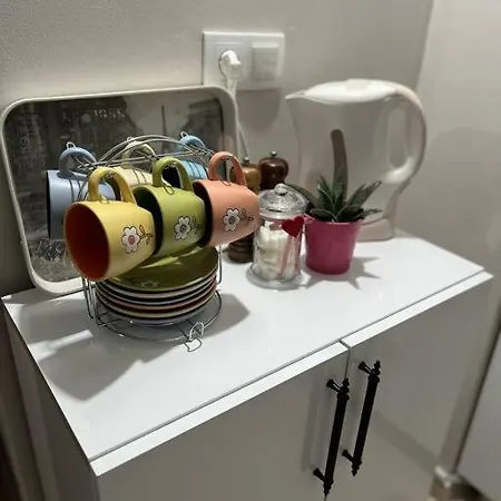 Modern Tasarimli Genis Terasli 1+1 Antalya
