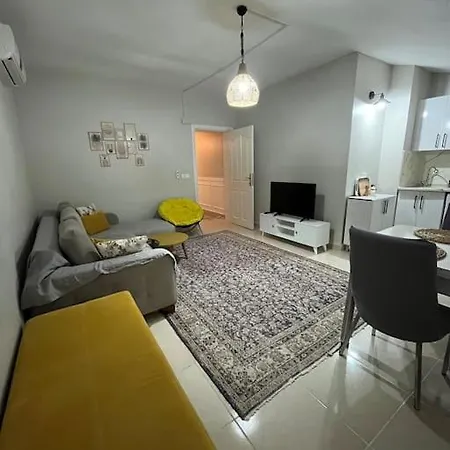 Modern Tasarimli Genis Terasli 1+1